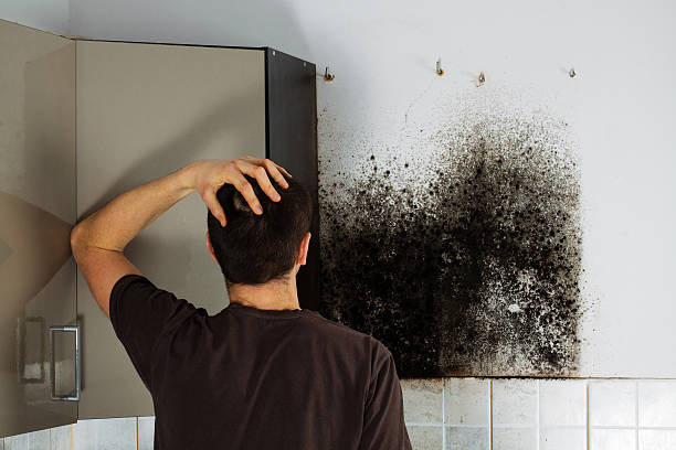 Best Mold Removal Near Me  in Rendon, TX